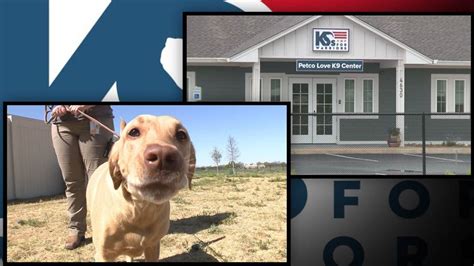 k9s for warriors scandal|A year after SA voters approved $2.25 million in city bond money .